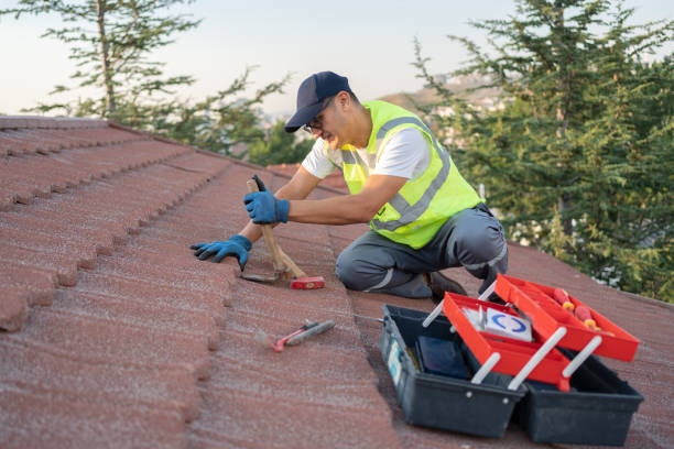 Best Gutter Installation and Roofing  in Silver Lake, FL