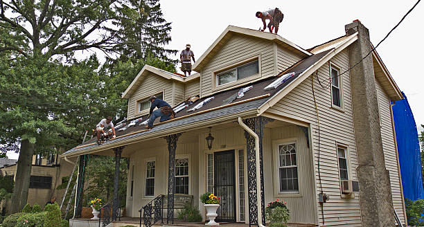 Best Flat Roof Repair Services  in Silver Lake, FL