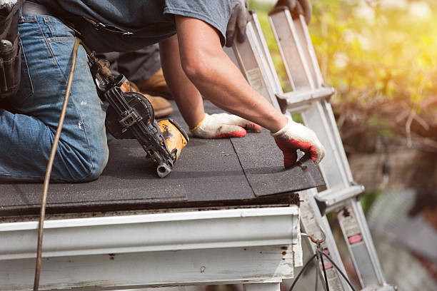 Best Shingle Roofing Installation  in Silver Lake, FL